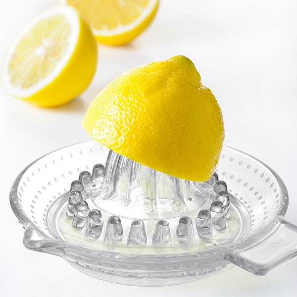 Lis na citrusy